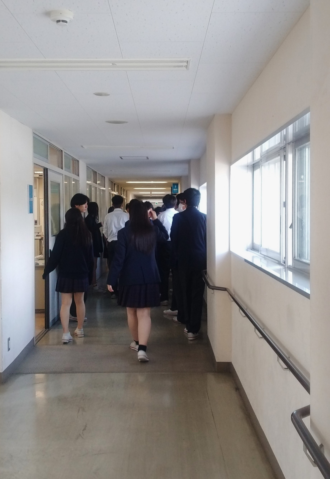 hinann (5)